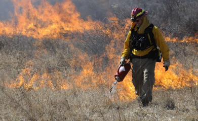 Outdoor burning | prescribed burns